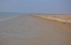 طبيعة جزيرة بوبيان الطينية طبيعة جزيرة بوبيان الطينية