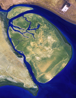 جزيرة بوبيان جزيرة بوبيان