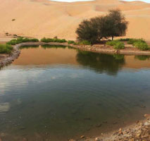 من الافلاج الموجودة في ليوا