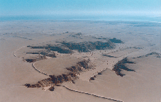 جال الزور