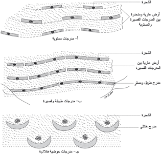 أنواع المدرجات المستوية