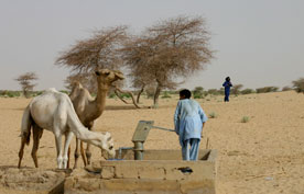 توقعات بمضاعفة عمليات سحب المياه على المستوى المحلي في أفريقيا جنوب الصحراء الكبرى