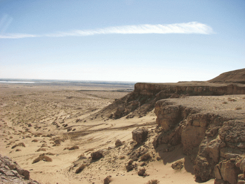 جال الزور 