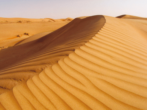 الكثبان الرملية 