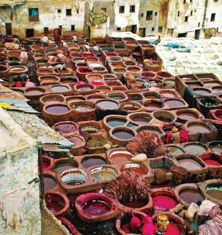 صناعة الجلود 