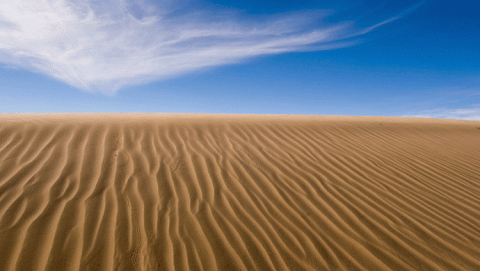 مواجهة التصحر 
