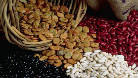 الألياف الغذائية  الألياف الغذائية