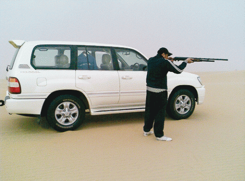 الطيور العربية  الطيور العربية