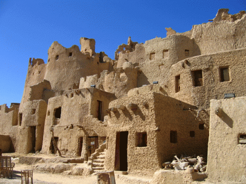 نماذج عربية للسياحة البيئية