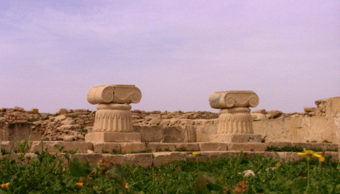 فيلكا والعدان وملح