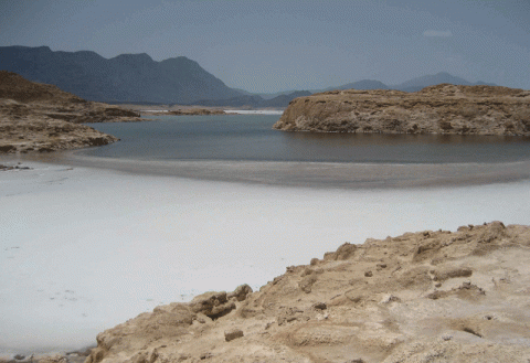 بحيرة عسل الجيبوتية