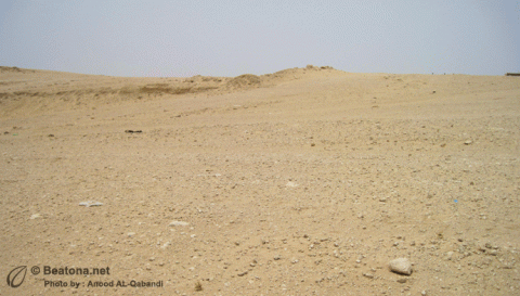 التربة