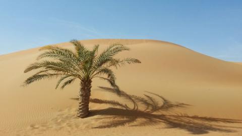 صحراء ليوا 